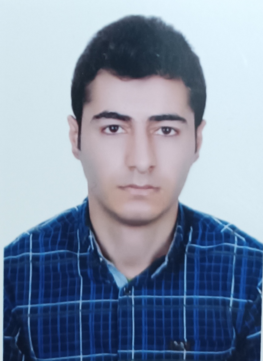 Seyed Mohammadreza  Hosseini 